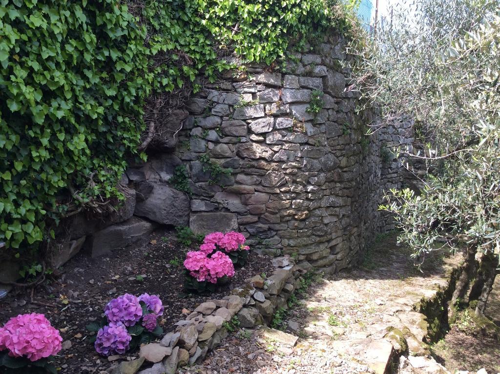 Casa Vacanze Ada Fiesole Luaran gambar